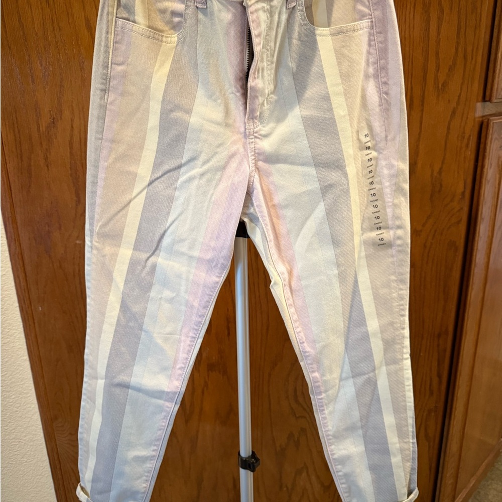 American Eagle Outfitters Pastel Pants- size 10 NWT
